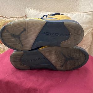 Michigan Jordan Retro